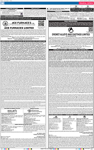 Newspaper Publication 2